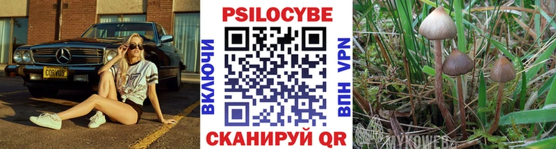 Галлюциногенные грибы Psilocybe  Купить где  Ульяновск 